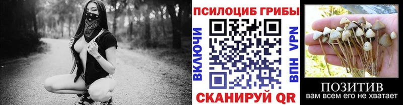 продажа наркотиков  Туймазы  Галлюциногенные грибы Psilocybine cubensis 