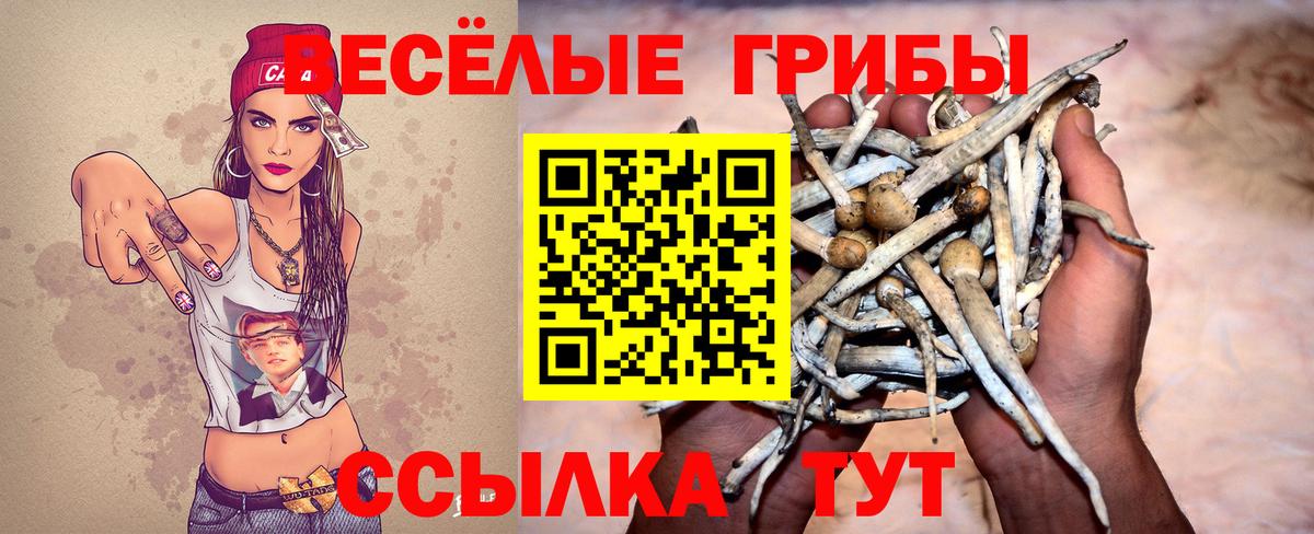 Туймазы  Галлюциногенные грибы Magic Shrooms  Вход с VPN 